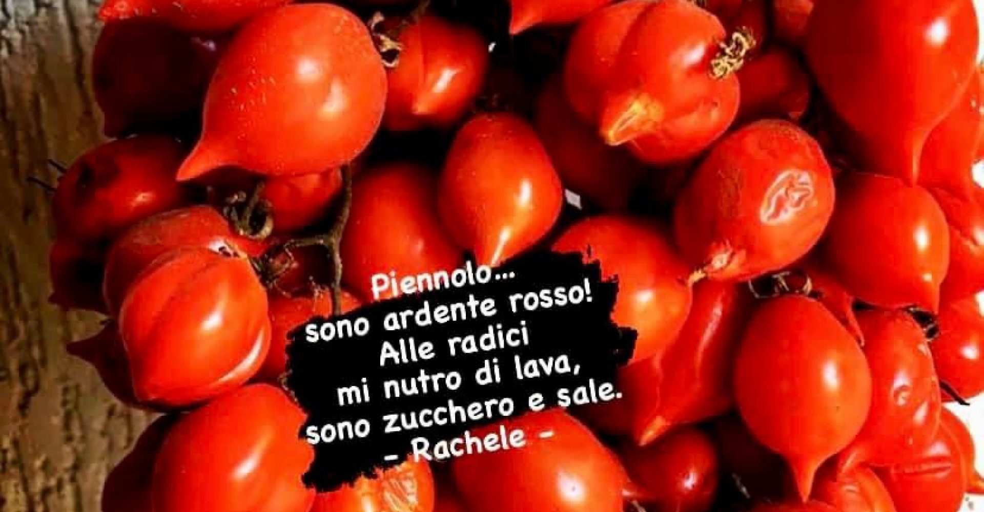 Piennolo vesuviano